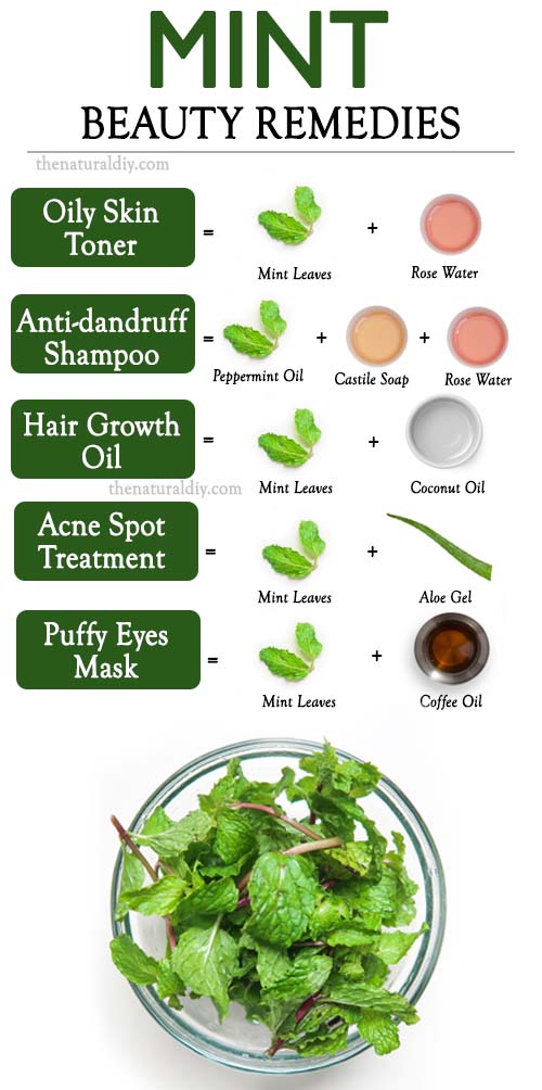 10 MINT BEAUTY REMEDIES The Natural DIY   10 MINT BEAUTY REMEDIES 