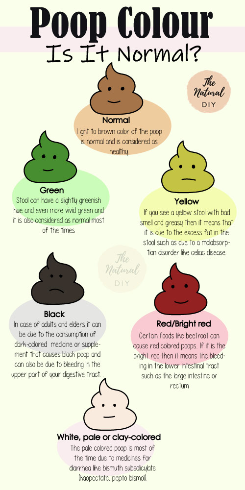POOP COLOR - WHAT THEY MEAN? - The Natural DIY