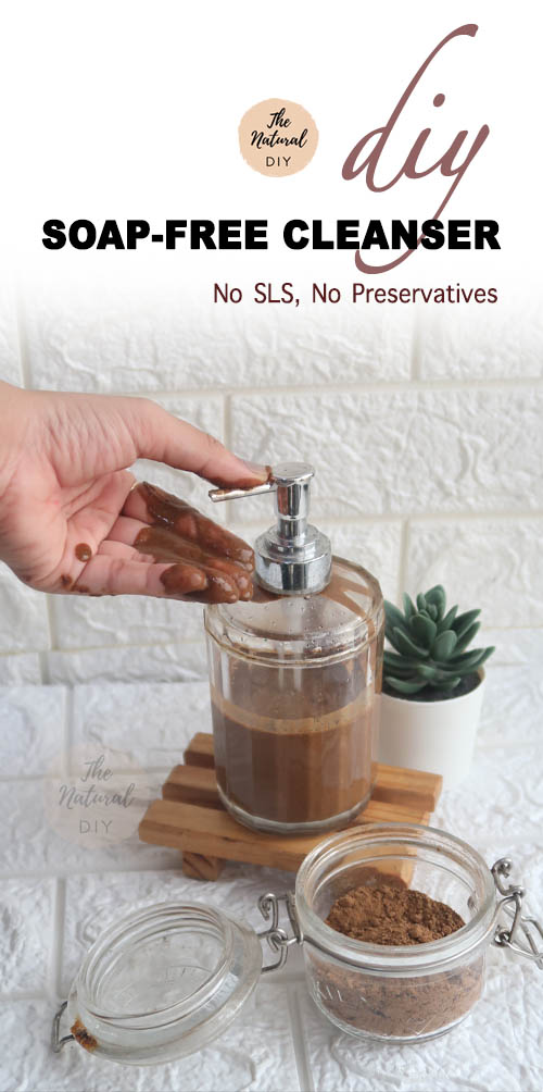 SoapFree Facial Cleanser The Natural DIY